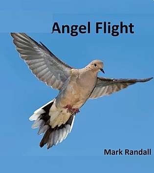 Angel Flight cover Thumb