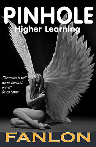 Pinhole - Higher Learning cover Thumb