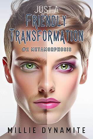 Just a Friendly Transformation #2 Metamorphosis cover Thumb