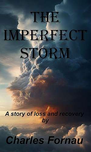 The Imperfect Storm cover Thumb