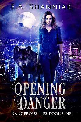 Opening Danger - Book 1 cover Thumb