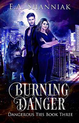 Burning Danger - Book 3 cover Thumb