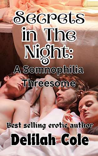 Secrets in the Night:A Somnophilia Threesome cover Thumb