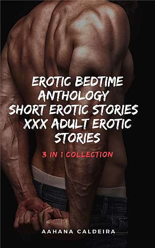 Erotic Bedtime Anthology- Short Erotic Stories cover Thumb