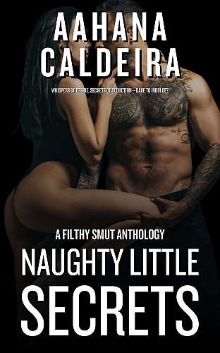 Naughty Little Secrets cover Thumb