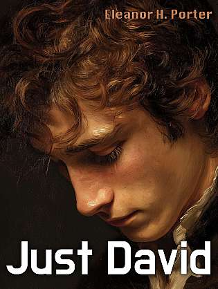 Just David cover Thumb