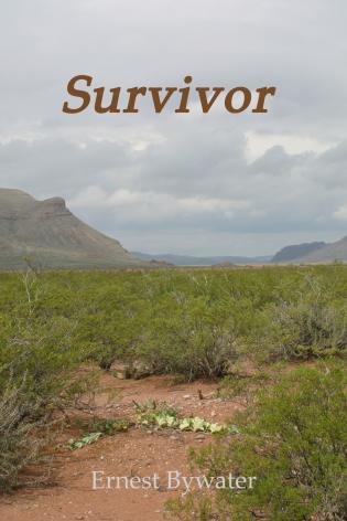 Survivor cover Thumb