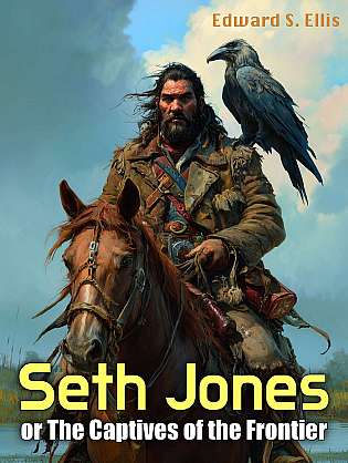 Seth Jones; or, The Captives of the Frontier cover Thumb