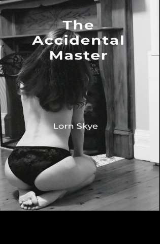 The Accidental Master cover Thumb