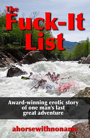 The Fuck-It List cover Thumb