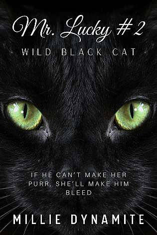Mr. Lucky #2 Wild Black Cat cover Thumb